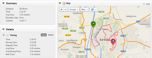 My Garmin data from Seville marathon.