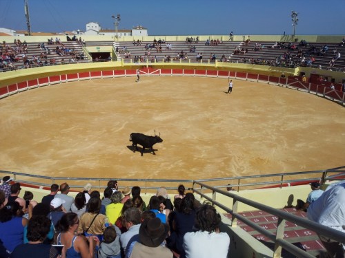 Corrida camarguesa en Saintes Maries de la Mer.