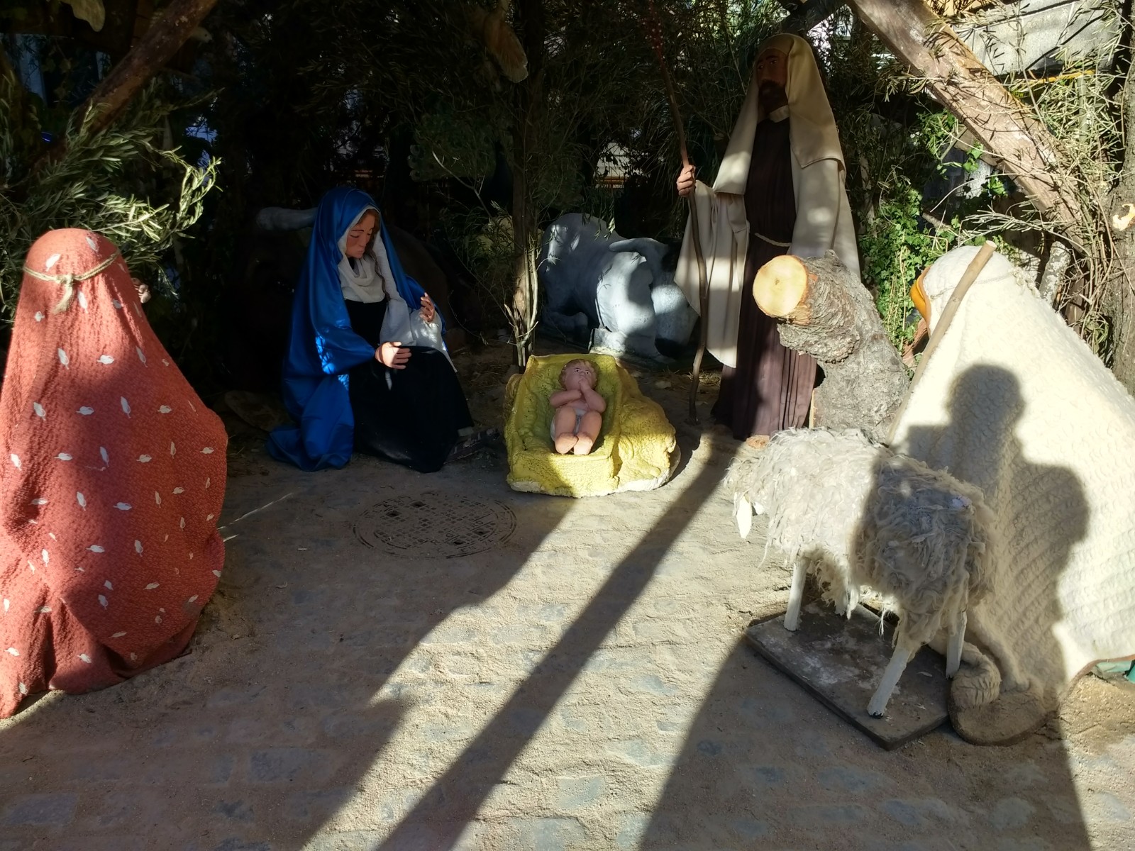 IMG_20180103_161814852_HDR