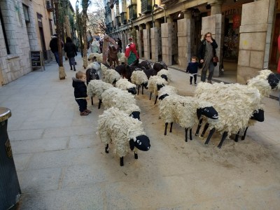 IMG_20180103_161951173