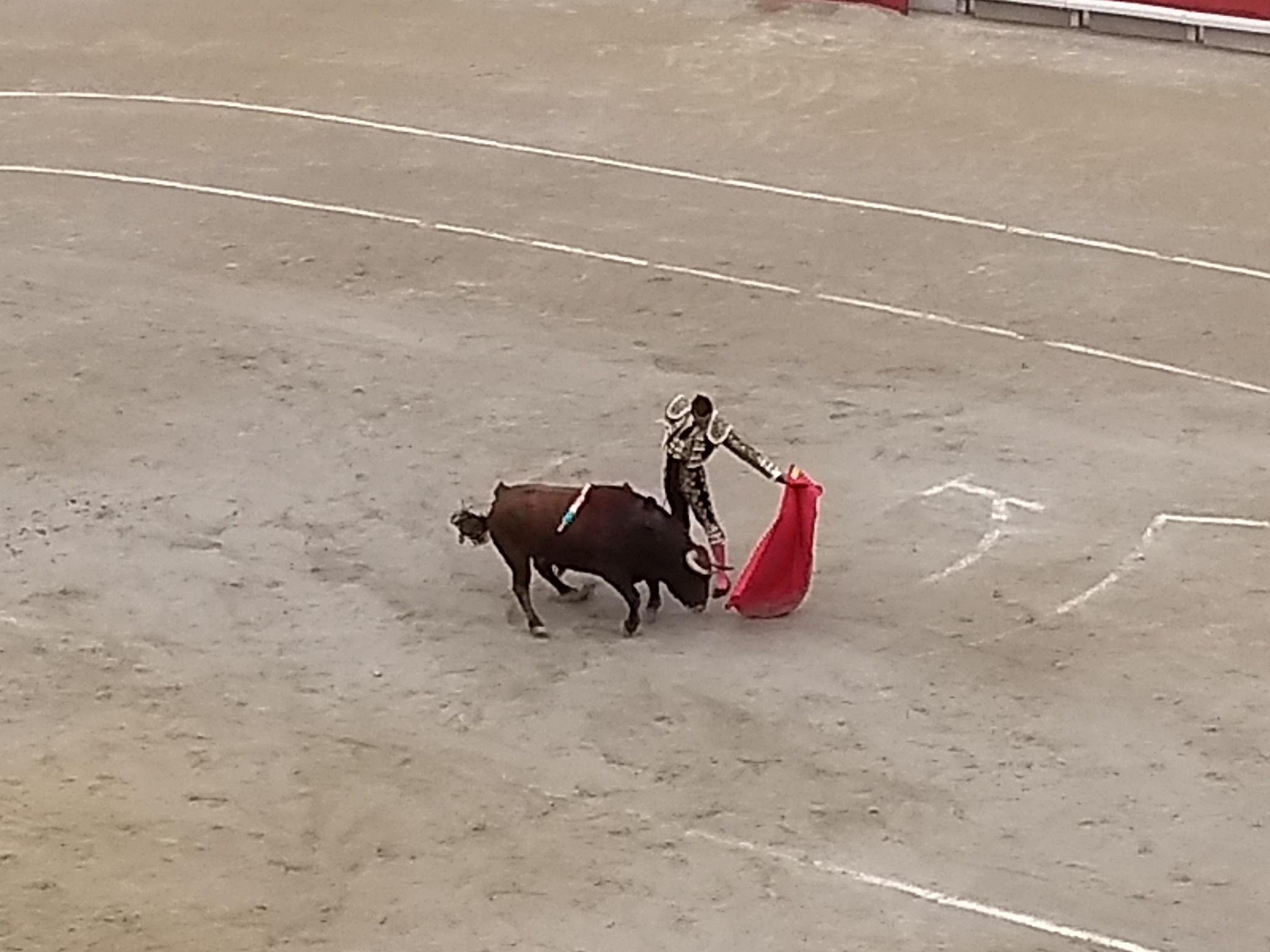 IMG_20190420_172053255