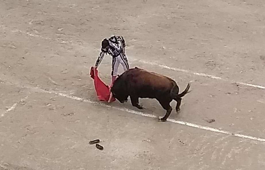 IMG_20190420_181135882