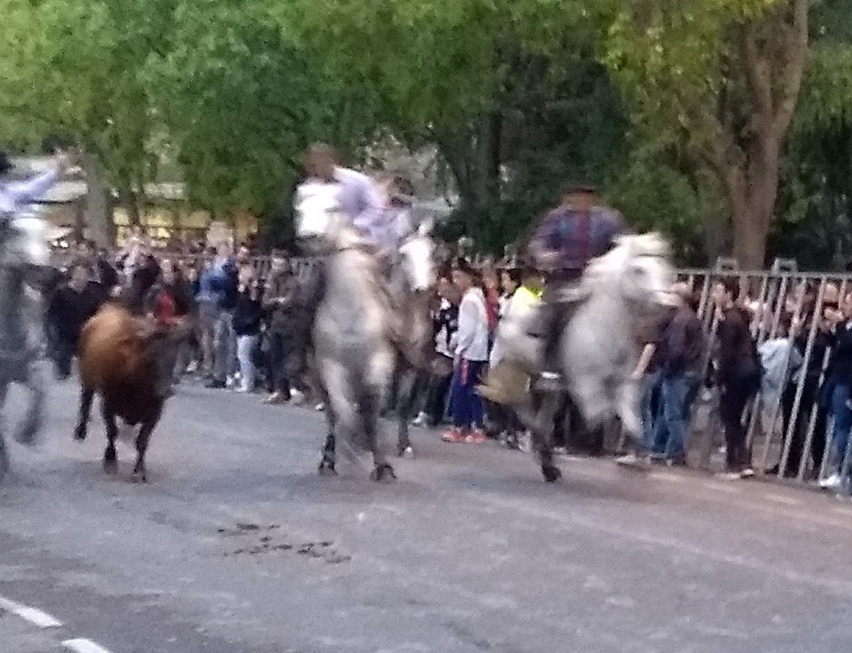 IMG_20190420_202043796