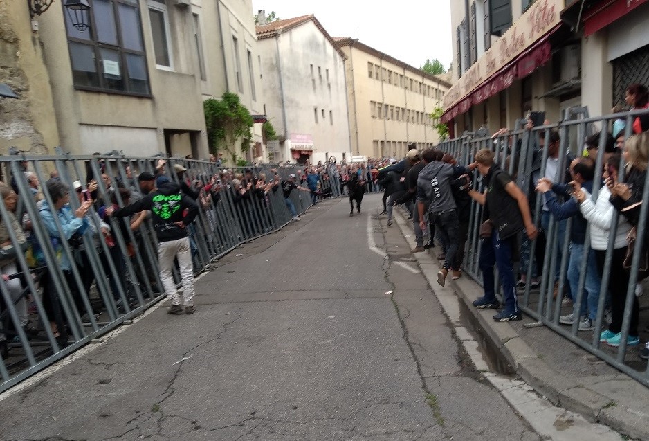 IMG_20190421_102847684_BURST001