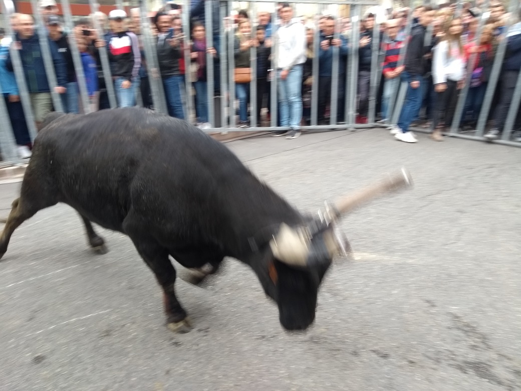 IMG_20190421_103637813