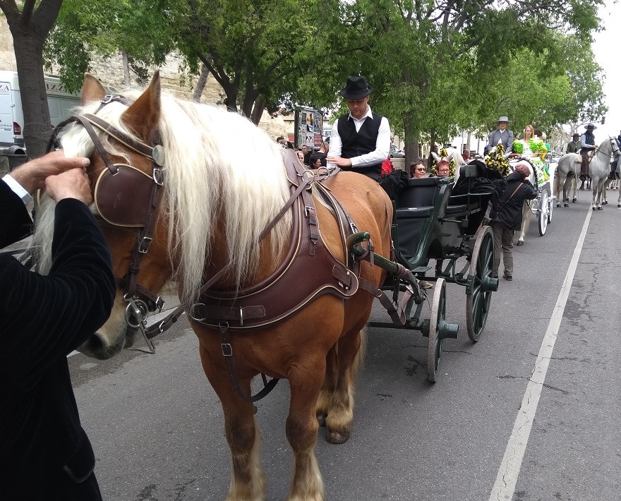 IMG_20190421_110511664