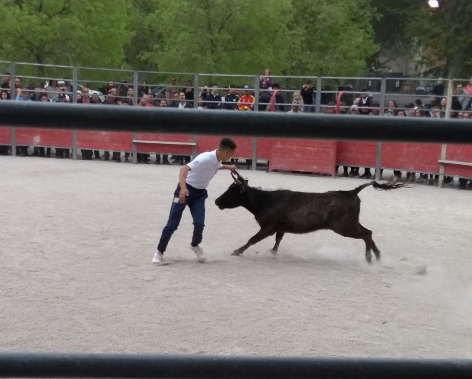 IMG_20190421_111337398